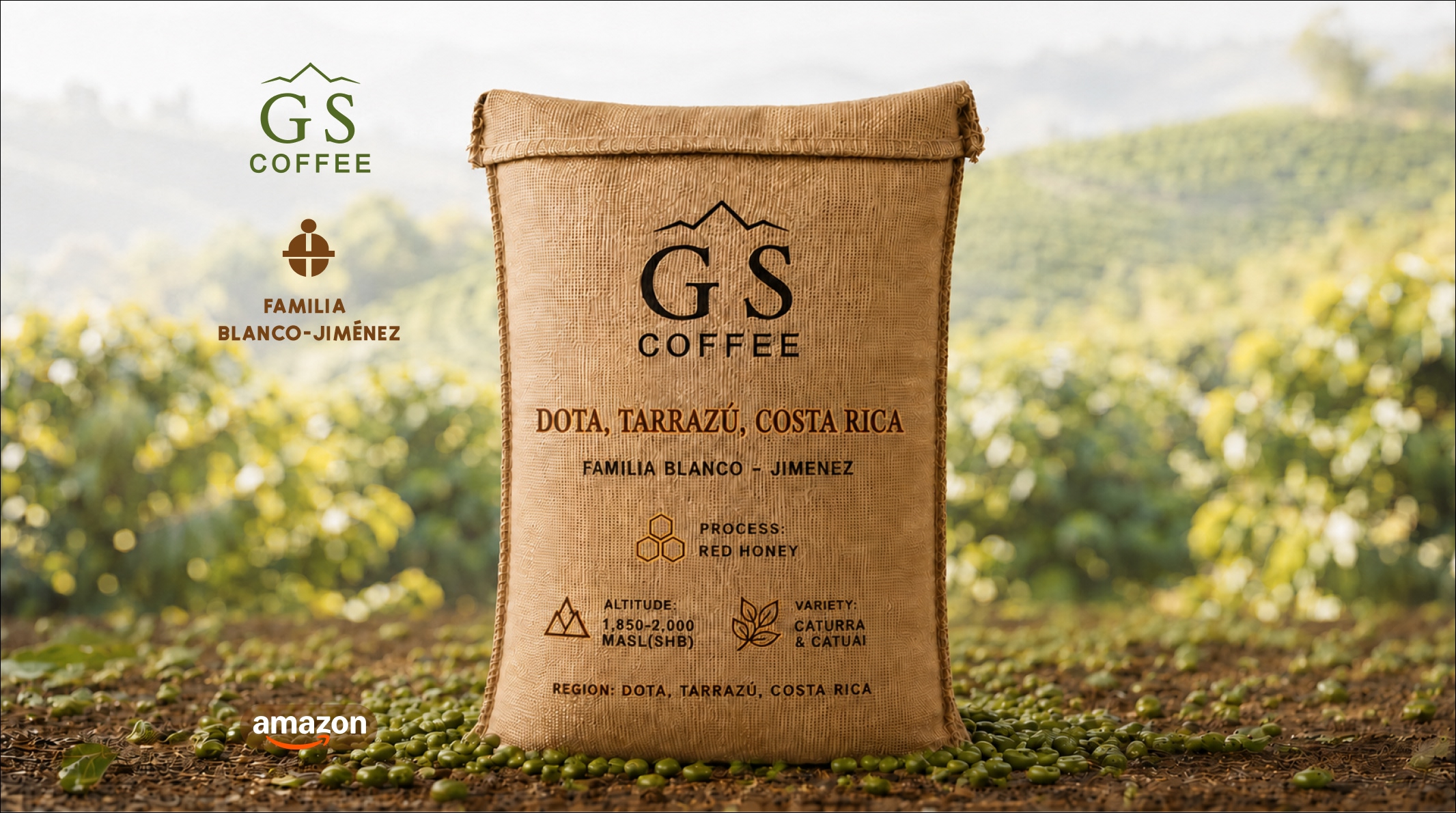 GS COFFEE | Green Specialty Сoffee Costa Rica Tarrazú — Single Origin by Blanco-Jiménez | Red Honey | SCA 85+