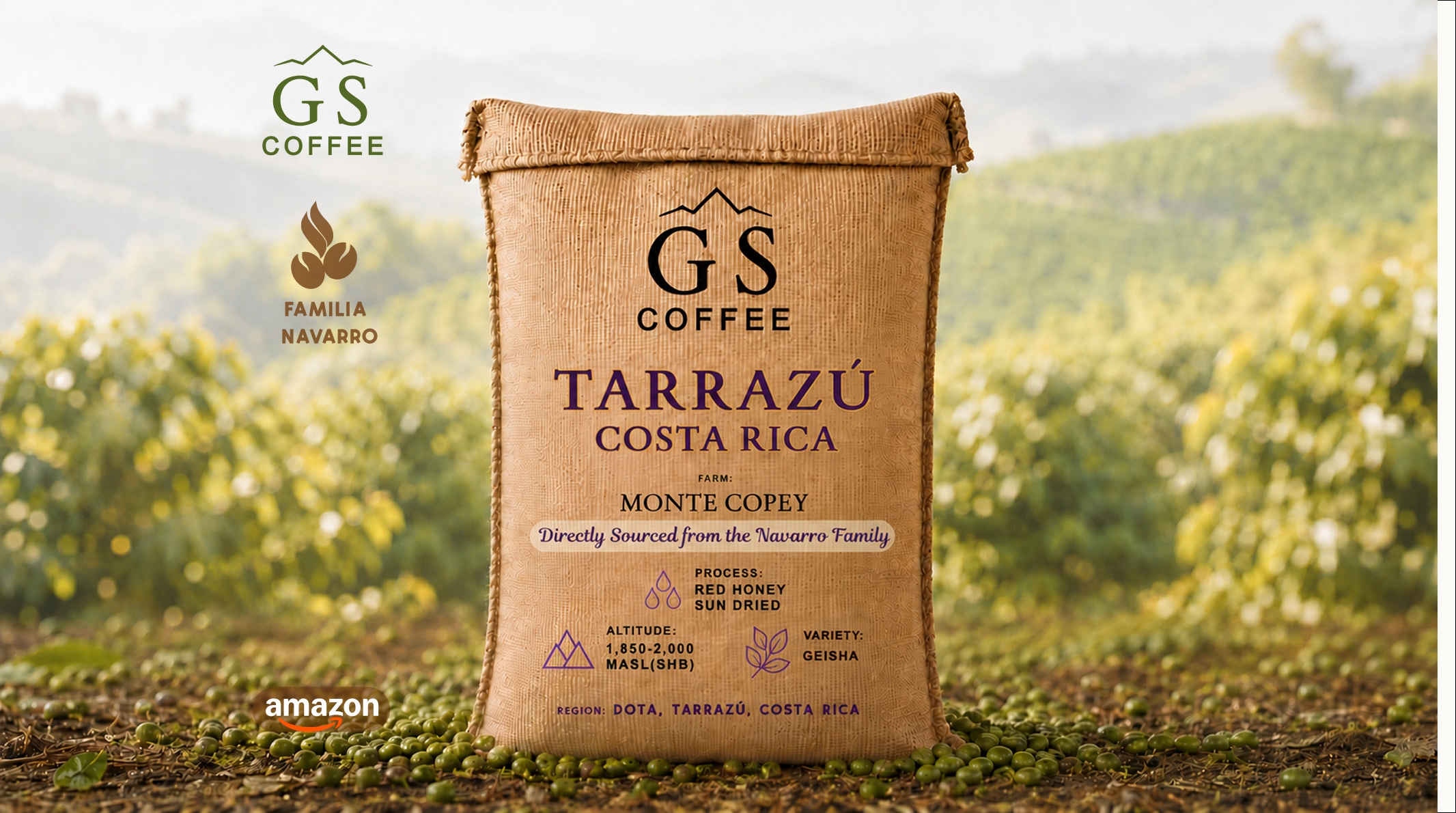 GS COFFEE | Green Premium Specialty Micro-Lot Costa Rica Tarrazú — Single Origin Monte Copey by Luis Enrique Navarro | Geisha Red Honey Sun Dried | SCA 88+