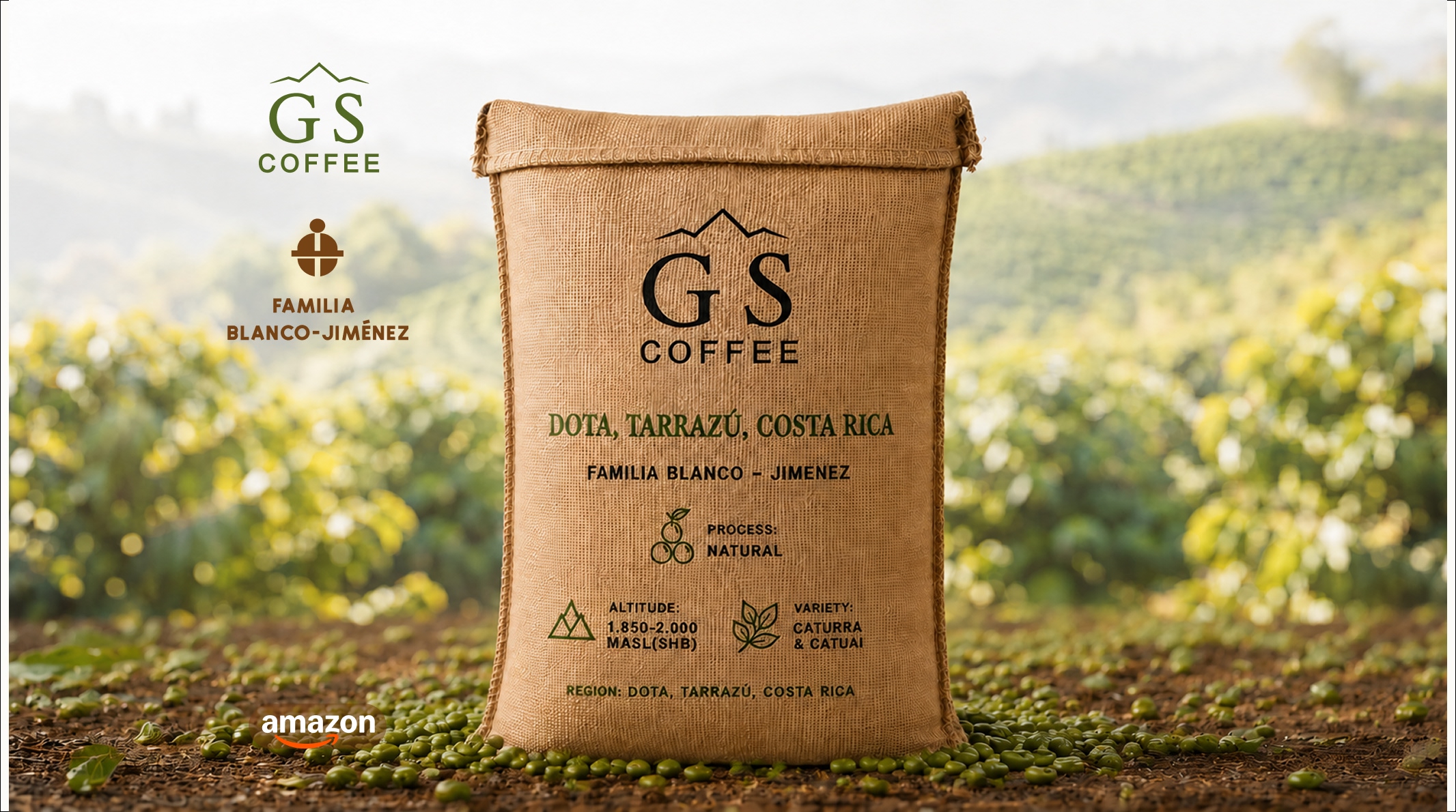 GS COFFEE | Green Specialty Сoffee Costa Rica Tarrazú — Single Origin by Blanco-Jiménez | Natural Green | SCA 86+
